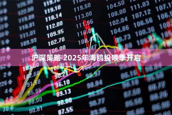 沪深策略 2025年海鸥投喂季开启