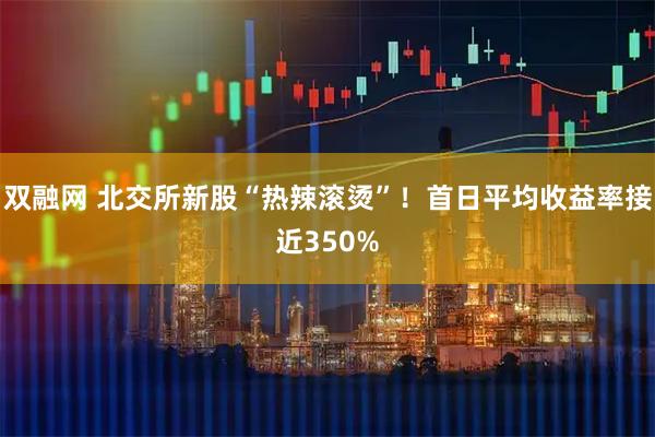 双融网 北交所新股“热辣滚烫”！首日平均收益率接近350%