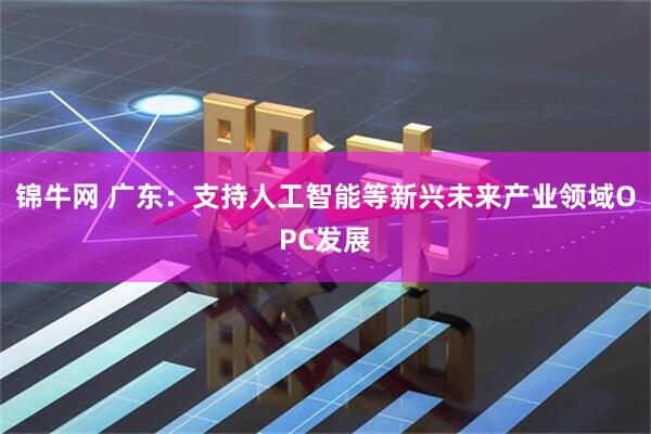 锦牛网 广东:支持人工智能等新兴未来产业领域OPC发展